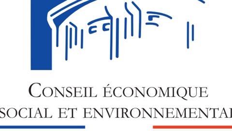 Le Cese s’attaque aux interprofessions Le Cese s’attaque aux interprofessions