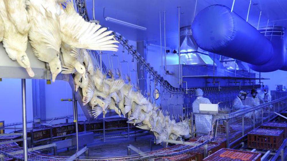 De la formation plutôt que des caméras