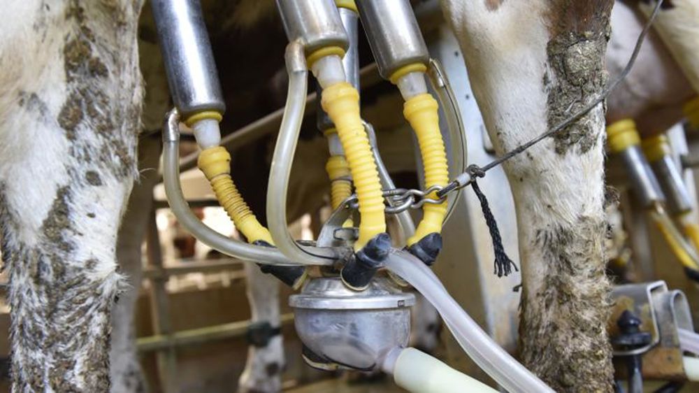 2018 s’annonce « fortement déséquilibrée »