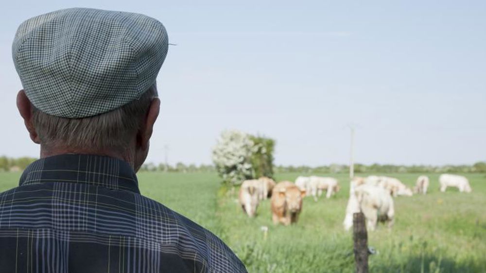 La Confédération paysanne demande au ministre d’intervenir