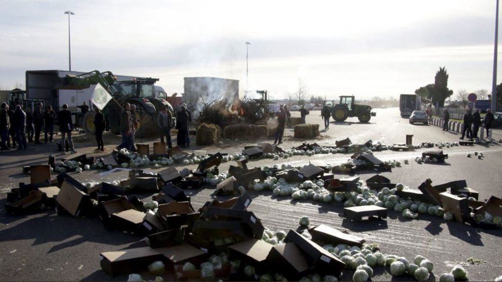 À Arles, manifestation pour dénoncer une agriculture qui « recule »