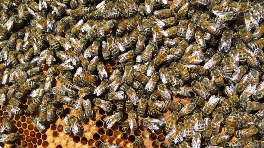 « Une évaluation approximative et lacunaire », selon l’Unaf