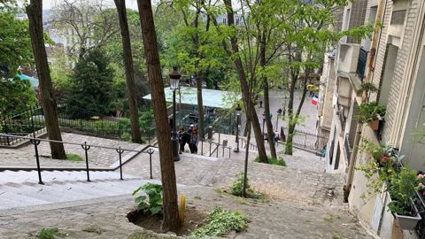 Durant la journée technique du 30 juin, la station horticole Astredhor Auvergne-Rhône-Alpes (Ratho) abordera notamment la détection des arbres résistants au stress hydrique via des ateliers. ©O. Maillard