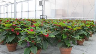 MPS, qui élabore des procédés de contrôle des pratiques durables, lance en ce début d’année un nouvel outil de pilotage. ©P. Fayolle