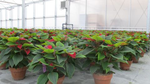 MPS, qui élabore des procédés de contrôle des pratiques durables, lance en ce début d’année un nouvel outil de pilotage. ©P. Fayolle