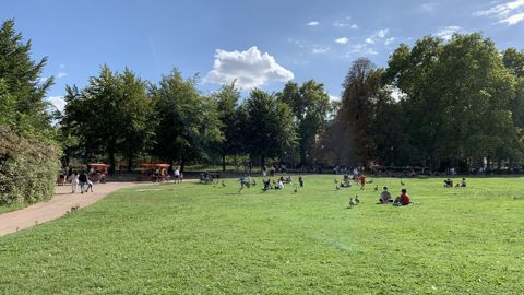 La Société française des gazons a tenu son assemblée générale annuelle le 9 février  « en distanciel » et y a défendu les multiples atouts des pelouses. ©P. Fayolle