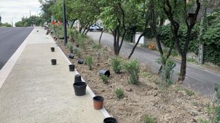 Une conférence est prévue jeudi 9 septembre 2021 à Angers, dans le cadre de Vegetal Connect, pour aborder le sujet de plus en plus épineux de l’usage des pots plastique en horticulture. ©P. Fayolle