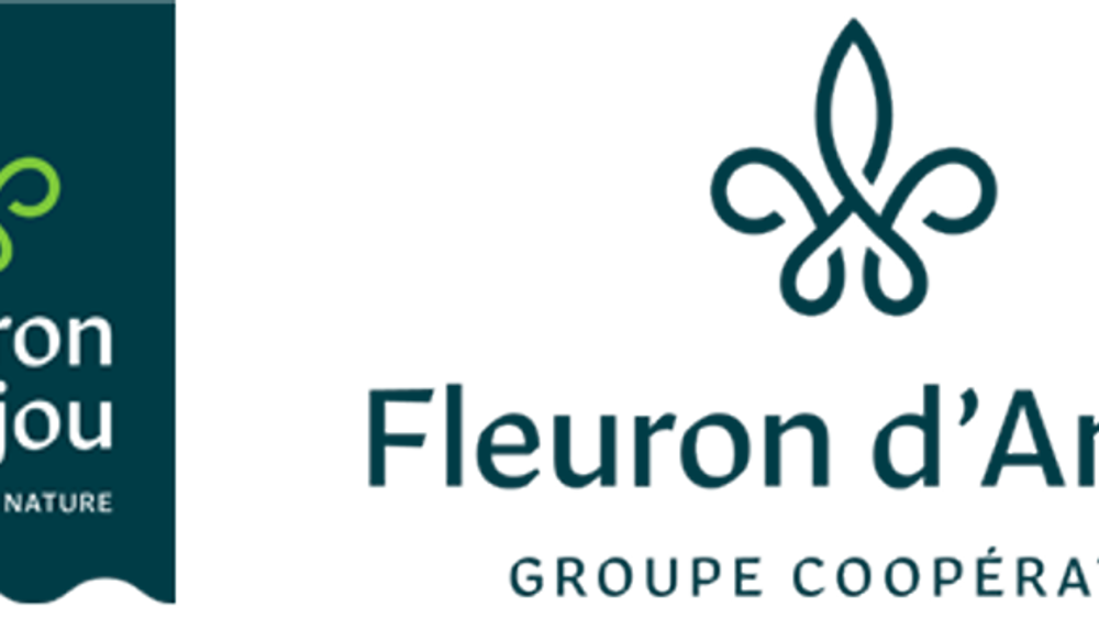 Fleurons Rajouri Les nouvelles ambitions de Fleuron d’Anjou