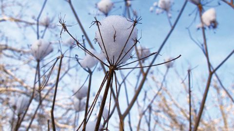 Bonne année 2020 ! f.arnould