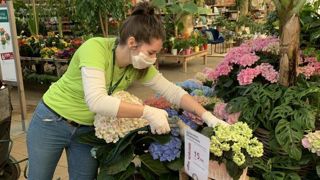 Comme dans ce magasin Botanic® de Montpellier, les jardineries ne peuvent plus vendre actuellement que des produits pour l’animalerie. Ce magasin n’est pas ailleurs ouvert que le matin et fonctionne en horaires adaptés. ©François Arnould