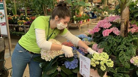 Comme dans ce magasin Botanic® de Montpellier, les jardineries ne peuvent plus vendre actuellement que des produits pour l’animalerie. Ce magasin n’est pas ailleurs ouvert que le matin et fonctionne en horaires adaptés. ©François Arnould