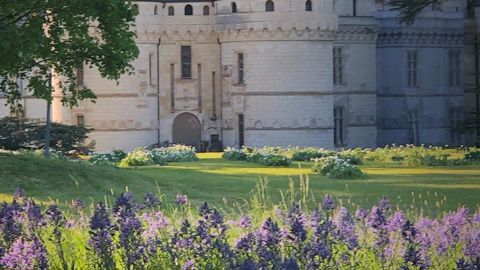 Le Festival international des jardins de Chaumont-sur-Loire ouvre ses portes le 16 mai, après avoir mis en place une procédure de respect des règles sanitaires en vigueur aujourd’hui. ©Chaumont-sur-Loire