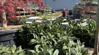 En raison de la crise sanitaire, les ventes du mois d’avril sont en retrait significatif par rapport à avril 2019 qui était pourtant un mauvais mois. ©L. Hespel