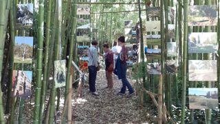 Plante & Cité met à disposition une exposition pour promouvoir - auprès du grand public - la gestion écologique des espaces verts. ©Plante-et-Cité