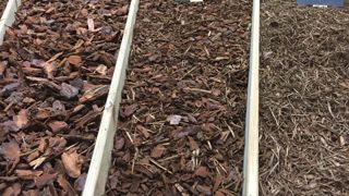 L’association des fabricants néerlandais de substrat et de terreau s’inquiète d’une disponibilité réduite en écorces. ©L. Hespel