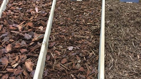 L’association des fabricants néerlandais de substrat et de terreau s’inquiète d’une disponibilité réduite en écorces. ©L. Hespel