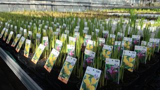 Le lycée du Fresne à Angers (49) avait reçu la biennale du réseau hortipaysages en février 2019. ©DGER/Hortipaysages