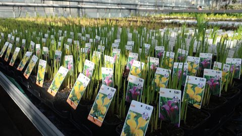Le lycée du Fresne à Angers (49) avait reçu la biennale du réseau hortipaysages en février 2019. ©DGER/Hortipaysages
