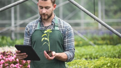 Une formule 100% digitale qui encadre la rencontre entre producteurs et visiteurs. ©gettyimages
