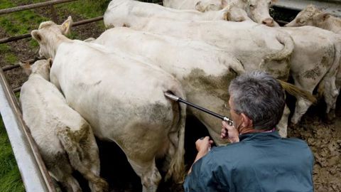 Des vaccins en quantité suffisante Des vaccins en quantité suffisante