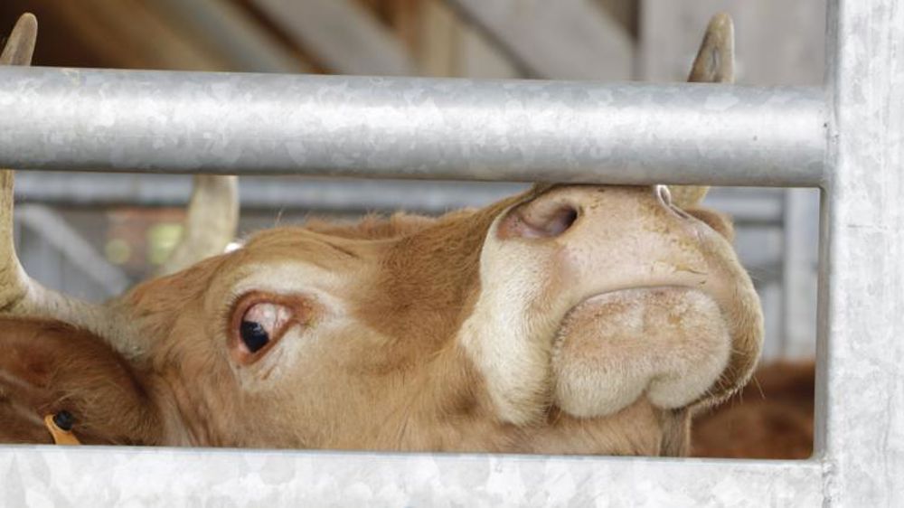 La vidéosurveillance remporte les faveurs des Français