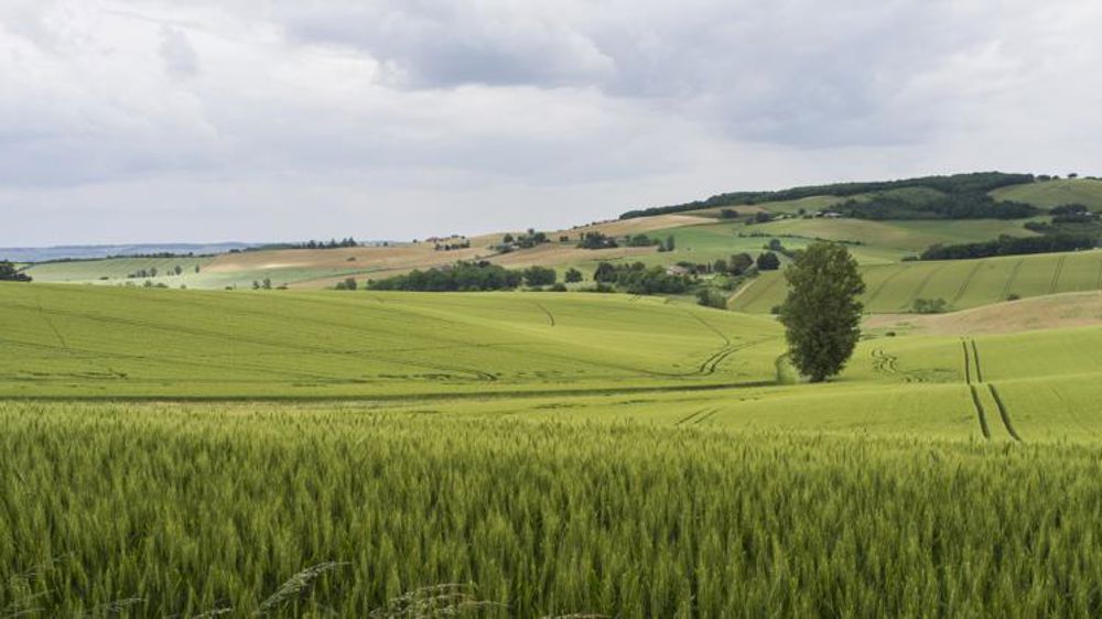 « Un casse-tête pour les paysans »