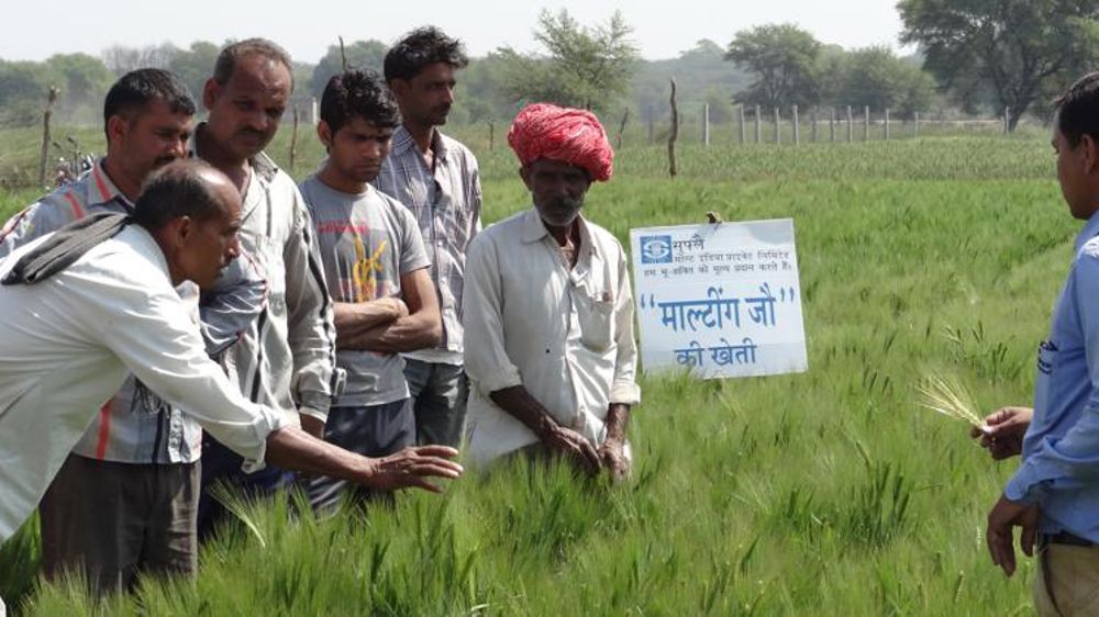 Soufflet acquiert une malterie en Inde