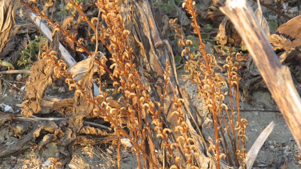 Une facture de 70 milliards d’euros par an