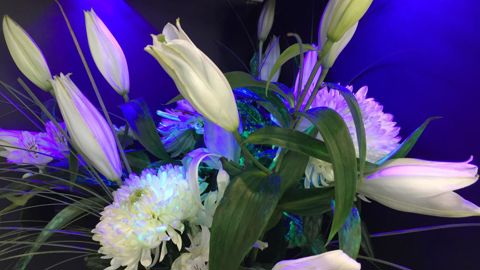 Algaé, un procédé qui donne un effet luminescent aux fleurs, a obtenu le prix coup de cœur du concours Vegepolys Valley l’an dernier. ©P.Fayollef.arnould