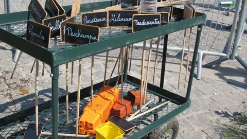 Les plastiques se sont imposés partout : leur quantité a été multipliée par 20 entre 1964 et 2014 et devrait doubler dans les 10 prochaines années. © P.Fayolle