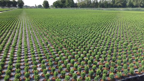 Le nombre de contenants plastiques horticoles est estimé à 500 millions, pour environ 10 000 tonnes mis sur le marché français chaque année. © Léna Hespel