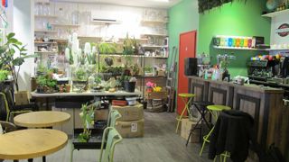 Botanik Concept, à Périgueux (24), est lauréat 2018 du concours Green Boutique (voir dans notre édition papier du mois de mai). © Léna Hespel