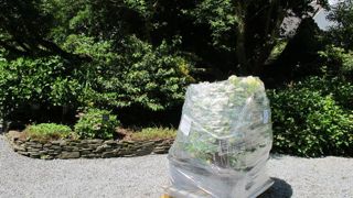 À l’image des points relais, Agriconomie propose aux agriculteurs un service de livraisons groupées chez un professionnel. Une idée à calquer pour notre secteur ? Pour la fourniture mais aussi pour la livraison des plantes ? F.Arnould