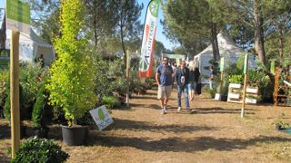 Salonvert et Aquiflor avaient décidé d’unir leurs efforts cette année pour proposer un grand rendez-vous de filière dans le Sud-Ouest. Le public a répondu présent mais ne s’est pas passionné pour le végétal. f.arnould