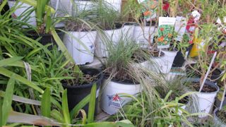 La perception des produits locaux est extrêmement positive chez les Européens. Ils sont en effet appréciés par une très large majorité (89 %) contre 17 % seulement qui déclarent ne pas y prêter attention. F.Arnould