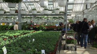 Une formation va se mettre en place en région AURA pour aider les chefs d’entreprise à comprendre la relation clients dans sons ensemble. (c) Odile Maillard