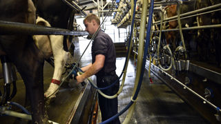 La FNSEA demande qu’un bouclier tarifaire s’applique aux exploitations agricoles afin de surmonter la hausse des tarifs des contrats d'énergie. (Photo d'illustration) La FNSEA demande qu’un bouclier tarifaire s’applique aux exploitations agricoles afin de surmonter la hausse des tarifs des contrats d'énergie. (Photo d'illustration)