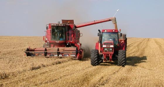 Le prix des céréales a progressé de 3 % en février 2012, selon les chiffres de l'Insee