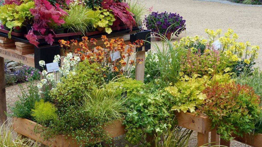 Le secret du point de vente qui fonctionne bien c'est la différenciation. Des mises en scène avec des collections printanières ont été proposées aux producteurs détaillants.PHOTO : GRAINES VOLTZ