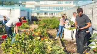 Des salariés d'une entreprise privée en journée de cohésion d'équipe sur le toit de l'école Tanger, à Paris (19e arrondissement).PHOTO : VENI VERDI Des salariés d'une entreprise privée en journée de cohésion d'équipe sur le toit de l'école Tanger, à Paris (19e arrondissement).PHOTO : VENI VERDI