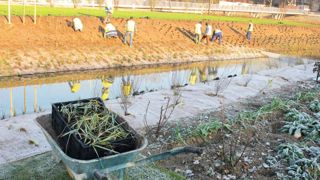 Selon une étude publiée en fin d'année dernièrepar FranceAgriMer sur les approvisionnementsdes collectivités territoriales en végétaux d'ornement, « 40 à 50 % des achats de végétaux des collectivités pourraient être d'origine étrangère ».PHOTO : PASCAL FAYOLLE Selon une étude publiée en fin d'année dernièrepar FranceAgriMer sur les approvisionnementsdes collectivités territoriales en végétaux d'ornement, « 40 à 50 % des achats de végétaux des collectivités pourraient être d'origine étrangère ».PHOTO : PASCAL FAYOLLE