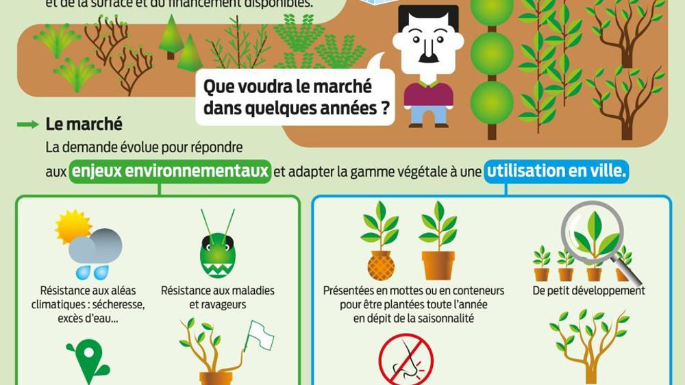 La demande en végétaux évolue. Par exemple,de plus en plus de villes intègrent des espècescomestibles dans leurs aménagements ou prévoient des plantations d'arbres diversifiées plutôt que monospécifiques. Les plantes sont choisies en fonction des contraintes du site dès la conception, en tenant comptenotamment de leurdéveloppement... En restant à l'écoute des tendances, le producteur essaie d'adapter sa palette végétale en conséquence.
