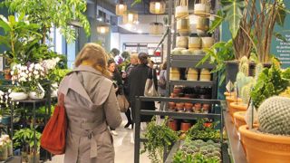 À la fête des Mères, pour les ventes de végétaux d'intérieur, ce sont sans aucun doute les plantes vertes, les succulentes et les cactées et bonzaïs qui ont occupé le podium, reléguant les Phalaenopsis et autres orchidées au rôle de figurantes des prix cassésPHOTOS : PASCAL FAYOLLE À la fête des Mères, pour les ventes de végétaux d'intérieur, ce sont sans aucun doute les plantes vertes, les succulentes et les cactées et bonzaïs qui ont occupé le podium, reléguant les Phalaenopsis et autres orchidées au rôle de figurantes des prix cassésPHOTOS : PASCAL FAYOLLE