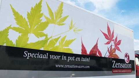 L'Europe est un acteur majeur de la pépinière : avec 11 % des surfaces, elle assure 34,5 % de la production mondiale, si l'on en croit les dernières données publiées par l'Association internationale des producteurs de l'horticulture (AIPH).PHOTO : VALÉRIE VIDRIL