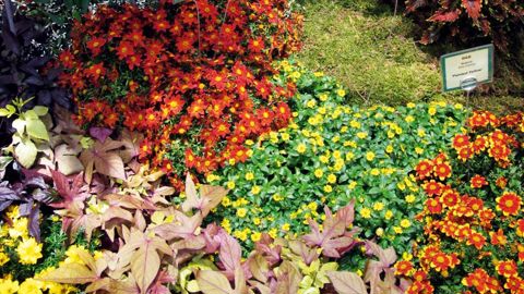 L'intention d'achat est plus influencée par le fait d'afficher « Nouveauté » sur le produit que par son caractère intrinsèquement nouveau.