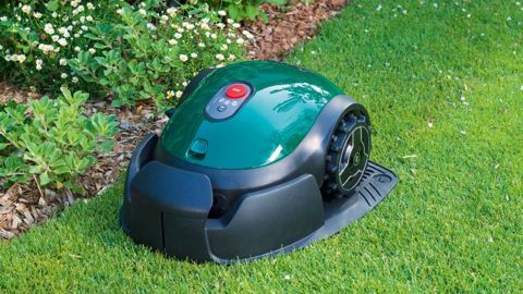 PHOTO : CHAINTREUIL 2016