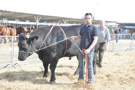 Grand prix mâle naisseur du concours d'animaux de boucherie de Mamers