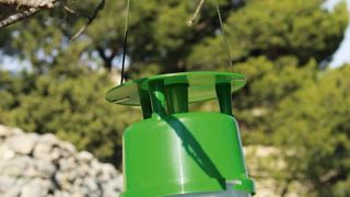 PHOTO : KOPPERT FRANCE