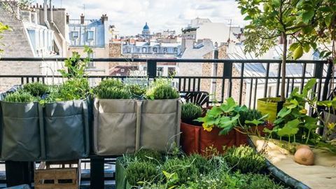 PHOTO : JERÔME GALLAND