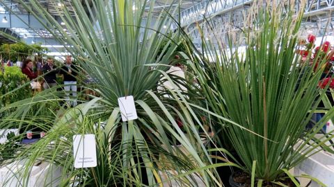 PHOTO : ODILE MAILLARD